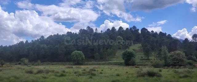 TERRENO A LA VENTA EN RIOPAR - foto 5