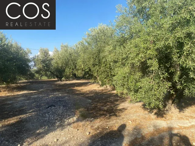 Parcela 40m² en venta - Urbanizacion azahar — 20