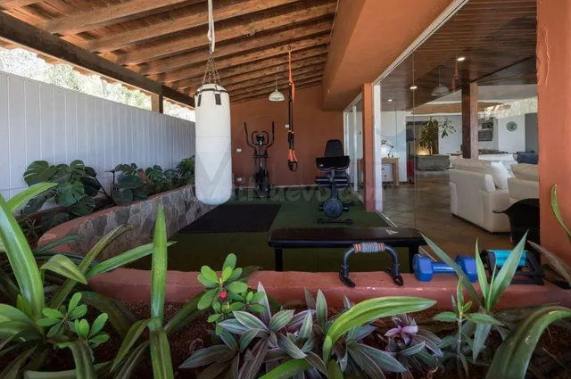 Casa o chalet independiente en venta en calle Begonia, 53 - foto 4