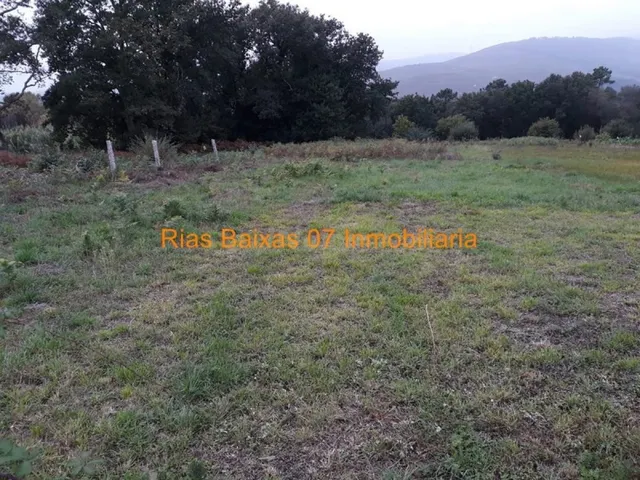 REF3102 SOLAR IDEAL DE 1100 M2 CENTRO TOMIÑO - foto 4