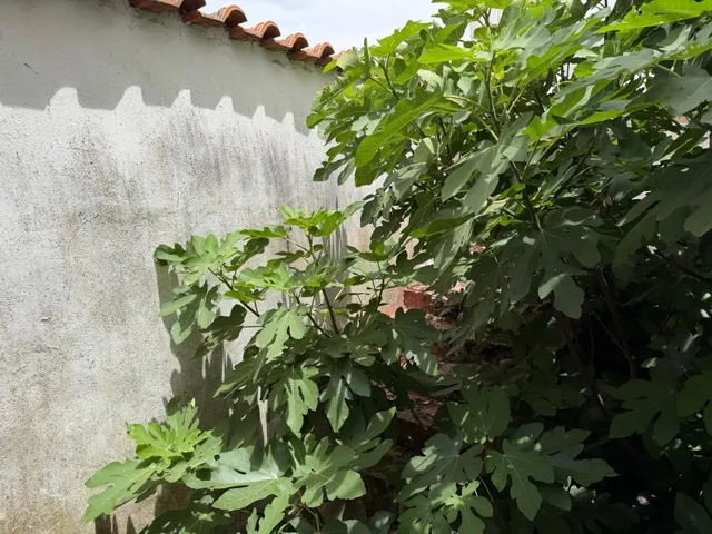 Venta de Casa Adosada en Fuente Obejuna (Córdoba) — 15