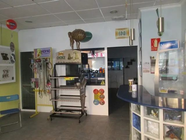 LOCAL COMERCIAL EQUIPADO PARA PELUQUERÍA CANINA — 3