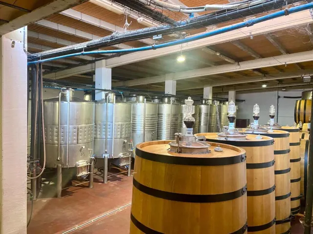 Exclusiva finca con masía, hotel, bodegas y 83 ha de terreno en el Priorat — 38
