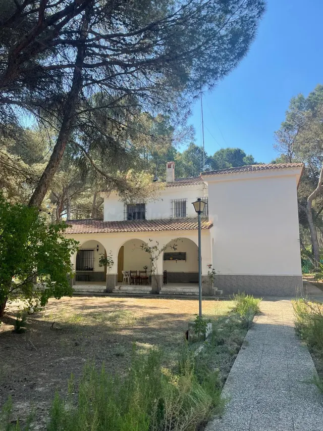 Espectacular Chalet en Los Llanos, Albacete - Ideal para Dis - foto 3