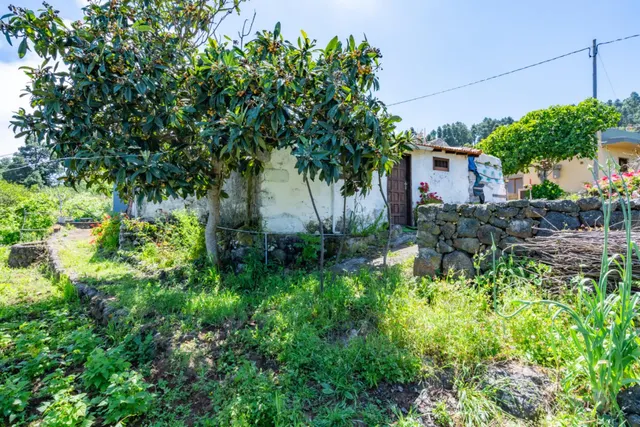 Finca con vivienda y viñedos en Icod de los Vinos — 17