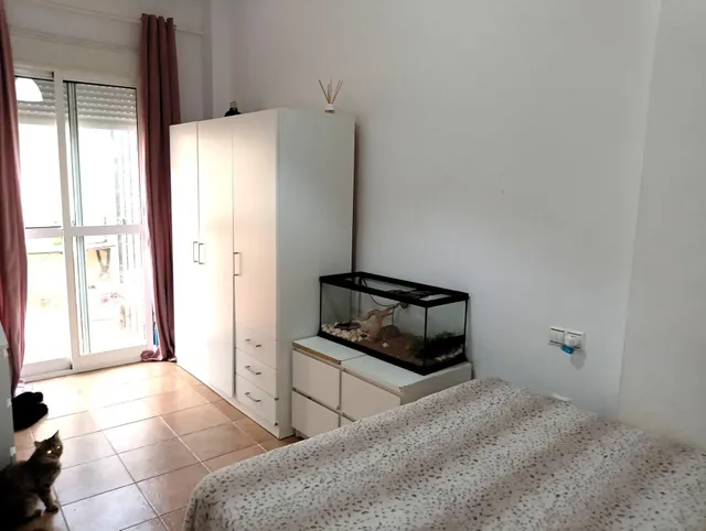 Apartamento en planta baja con patio en Huerta del Rosario — 8