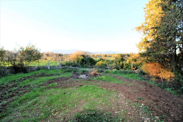Finca Rústica en Llubí — 34