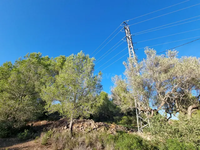Terreno Rústico de 28.454m2 en Venta en L’Ametlla de Mar - foto 3