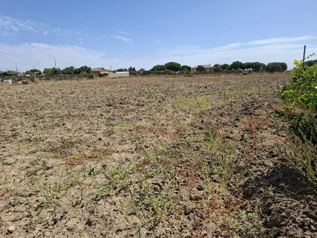PARCELA EN CHICLANA DE LA FRONTERA - foto 4