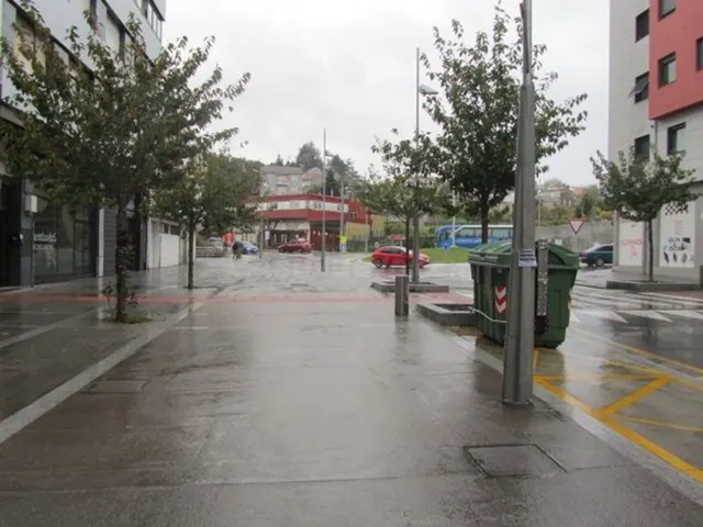 Local comercial 240m² en alquiler - La Seca - Los Salgueriño - foto 3
