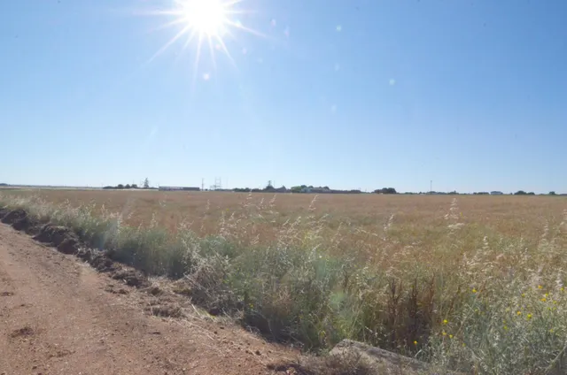 Urbis te ofrece un terreno en venta en Castellanos de Villiquera, Salamanca. — 4