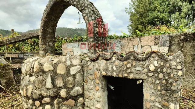 FINCA RUSTICA CON VISTAS AL RÍO MUY CERCA DE RIBADAVIA. - foto 4