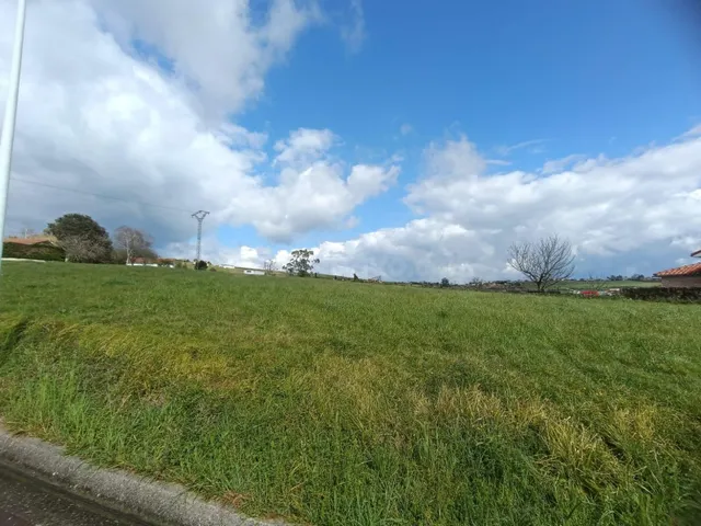 2 FINCAS URBANAS DE 2.000 M2 CADA UNA EN UN ENTORNO PRIVILEG - foto 5