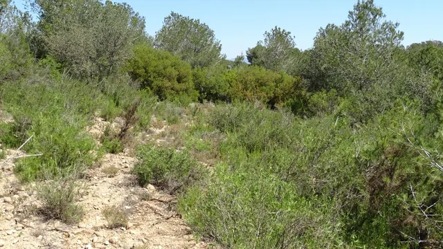 Terreno en venta en Vilamarxant — 20