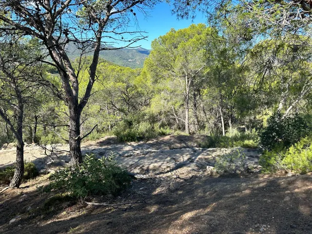 TERRENO EN ALBALAT DELS TARONGERS — 2