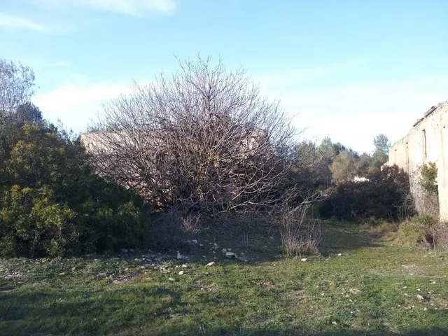 FANTÁSTICA FINCA RÚSTICA EN PLENO PARC NATURAL DEL GARRAF — 3