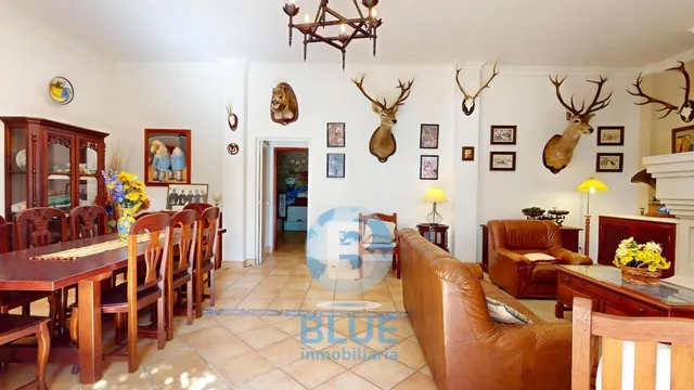 IMPRESIONANTE CASA EN CASILLA DEL AIRE — 39