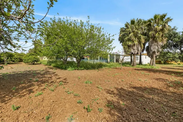 Casa de Campo Urb. Las Tres Palmeras (Carmona) — 46