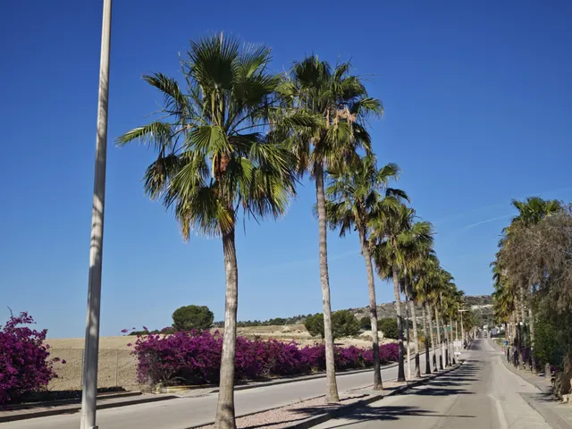 Villa 4 habitaciones 167m² en venta - Comunidad valenciana — 32