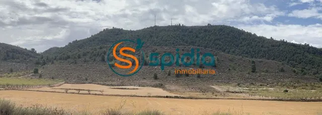 Parcela de 2Ha y 39 Áreas con vistas panorámicas a almendros