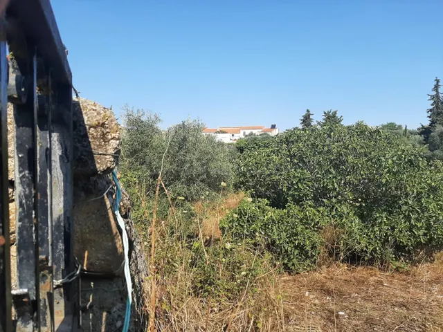 Parcela muy próxima al pueblo de Casas de Don Antonio - foto 4