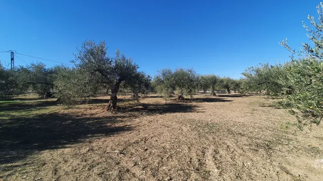 Parcela en venta - Costa del Sol - foto 4