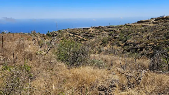 Oportunidad Única: Terreno Rural en La Zarza, Fasnia por sol - foto 4
