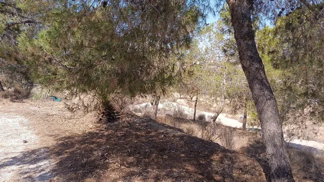 VENTA DE SOLAR EN ALTORREAL — 4
