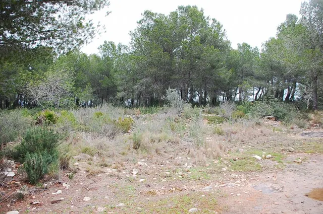 Finca rústica en venta - Afueras del pueblo — 11