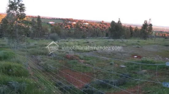 OPORTUNIDAD!! Parcela de 2500m2 totalmente vallada en ARROPE - foto 5