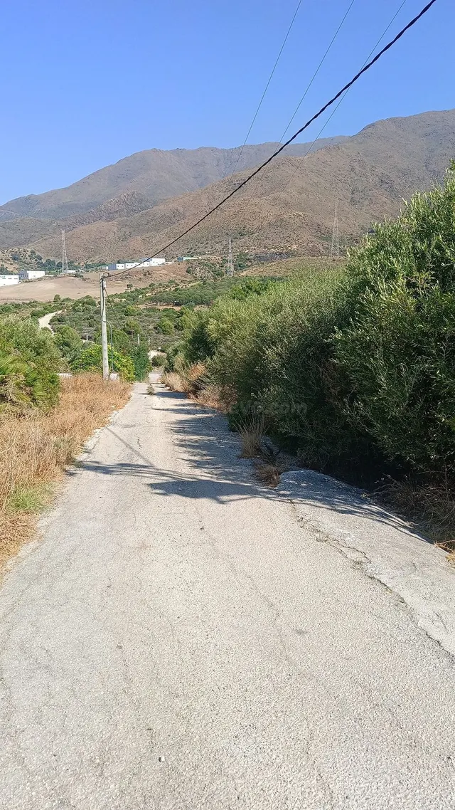 Parcela de 21.000 m2 en Estepona para proyectos únicos - foto 4