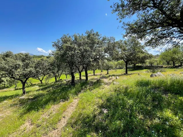 Terreno rural en venta - Extremadura - foto 4