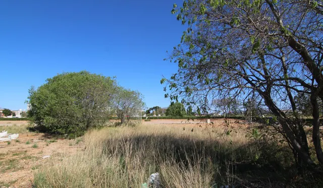 Se vende excelente parcela urbana en el pueblo de El Vergel, Alicante. — 12