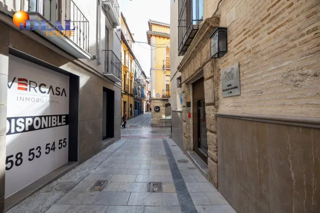 VENTA-ALQUILER DE EDIFICIO SINGULAR EN ESQUINA SAN MATIAS-NAVAS — 44
