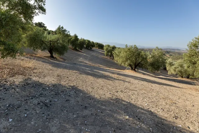 Terreno rural en venta - Alfacar — 19