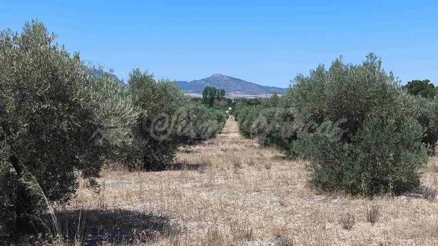 Suelo urbanizable en Venta en Yecla Murcia - foto 3