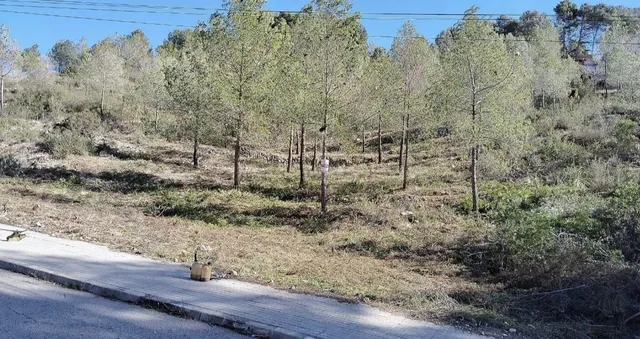 Terreno urbano. Olivella - foto 2