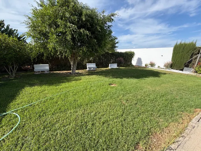 AMPLIA PARCELA RÚSTICA CON CASITA Y ZONA DE HUERTO!! — 20