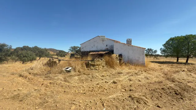 FINCA DE ENCINAR EN EL CERRO DEL ANDÉVALO — 7