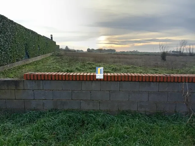 PARCELA EN VENTA EN MORALES DEL VINO (ZAMORA) — 3