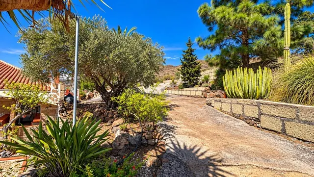 Finca exclusiva en Vilaflor · 2 viviendas, viñedo, bodega y piscina — 87