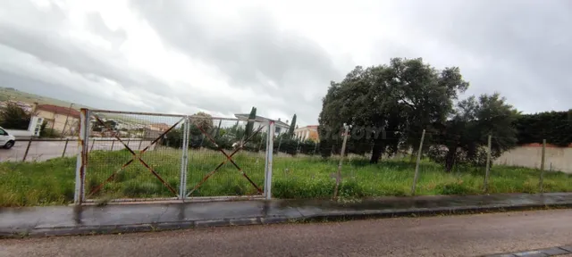 Parcela en El Pinar en Sierra de Fuentes - foto 5