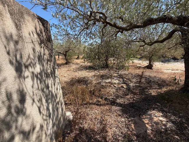 Terreno en venta - Alcanar - foto 3