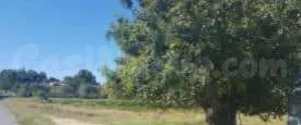 Terreno urbano 14127m² en venta - Colonia el tossal