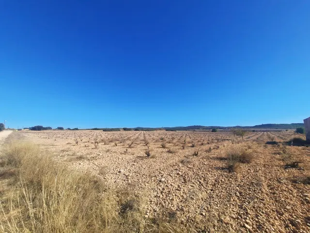 FINCA RÚSTICA EN ALMANSA — 7