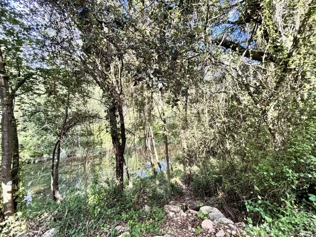 Parcela urbanizable en Albanyà – Alt Empordà - foto 4