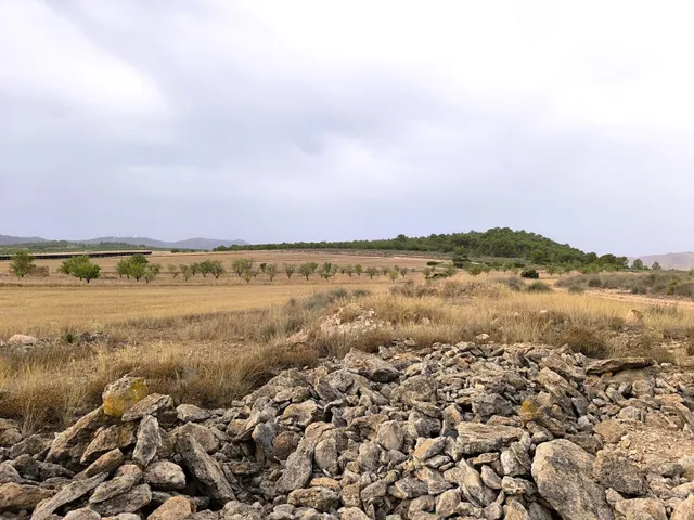 Parcela 200m² en venta - Ayuntamiento — 7