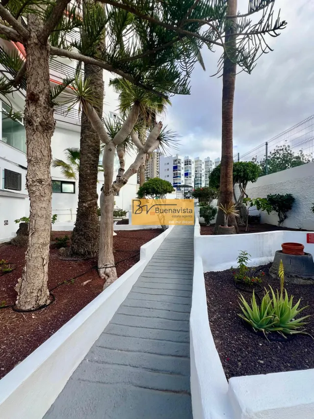 Apartamento 1 habitación en venta - Los Cristianos - foto 5