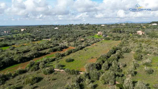 Terreno rústico en Ses Salines