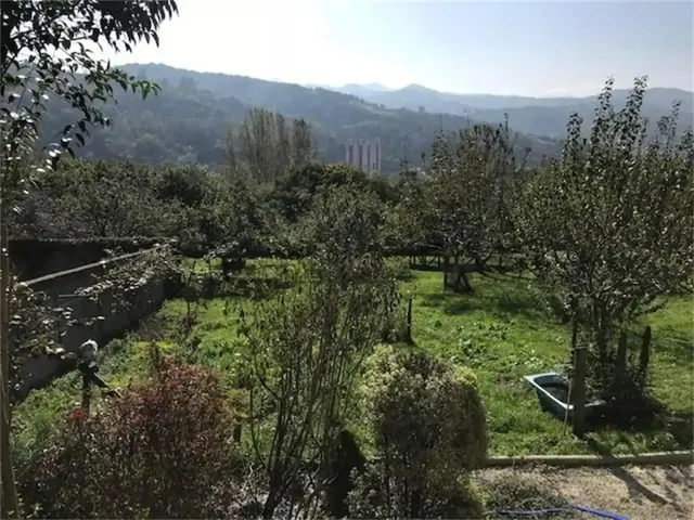 Encanto asturiano: casa con hórreo, cochera y finca edificab